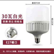LED-30W灯泡